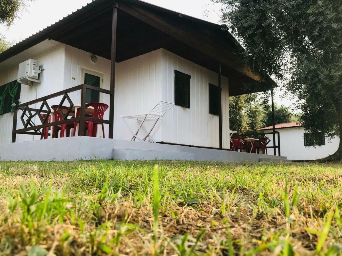 Funno Delle Noci Hotel Пешичи Екстериор снимка
